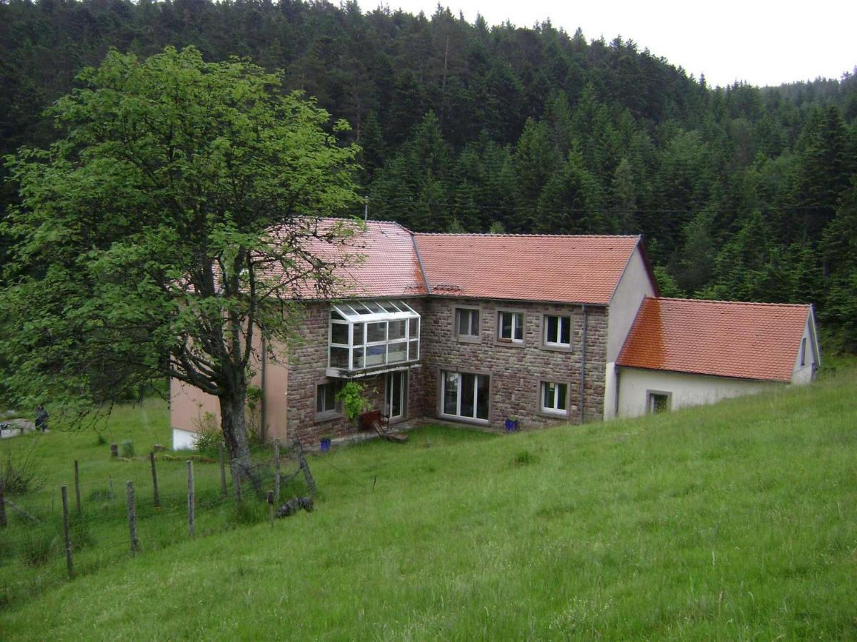Gite Gretel De La Ferme Du Schneeberg Wangenbourg-Engenthal Esterno foto