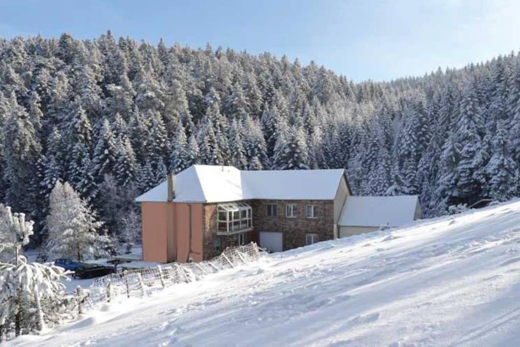Gite Gretel De La Ferme Du Schneeberg Wangenbourg-Engenthal Esterno foto