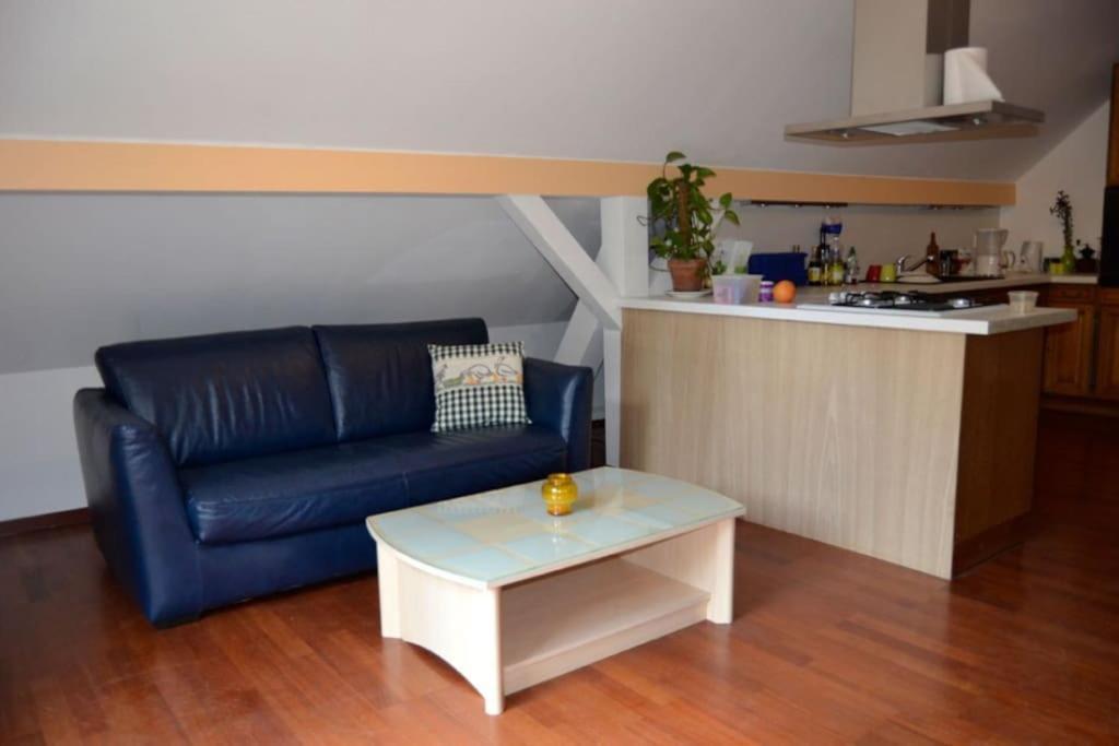 Gite Gretel De La Ferme Du Schneeberg Wangenbourg-Engenthal Esterno foto