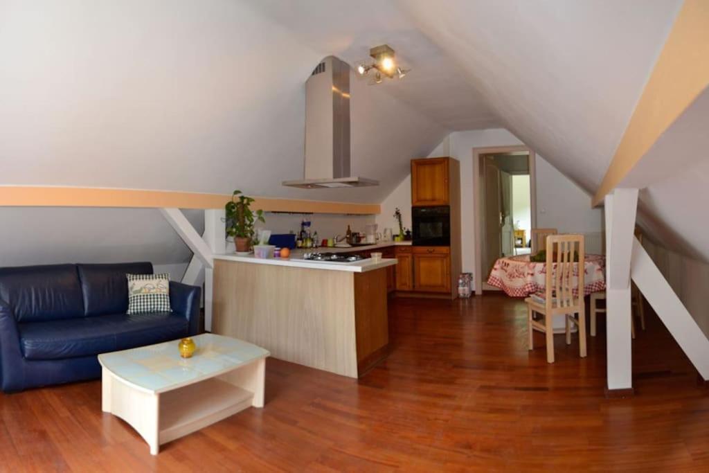 Gite Gretel De La Ferme Du Schneeberg Wangenbourg-Engenthal Esterno foto