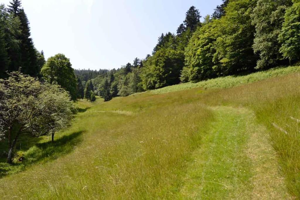 Gite Gretel De La Ferme Du Schneeberg Wangenbourg-Engenthal Esterno foto
