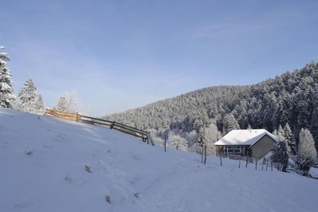 Gite Gretel De La Ferme Du Schneeberg Wangenbourg-Engenthal Esterno foto