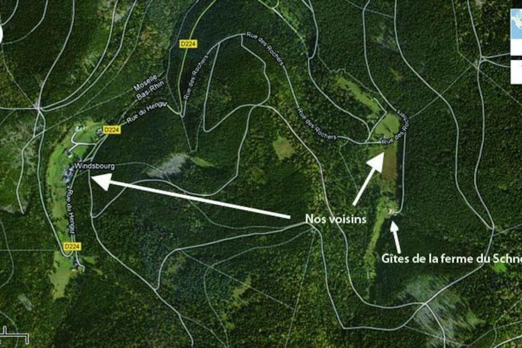 Gite Gretel De La Ferme Du Schneeberg Wangenbourg-Engenthal Esterno foto
